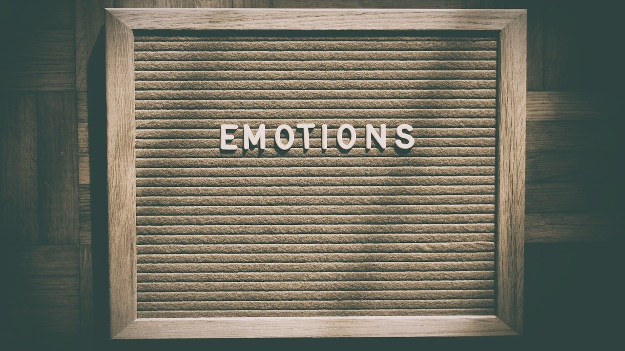 what are my emotional needs